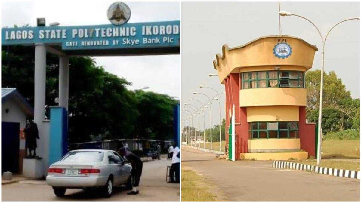 Best Polytechnics in Nigeria 2026: Top 20 Federal & State Polytechnics